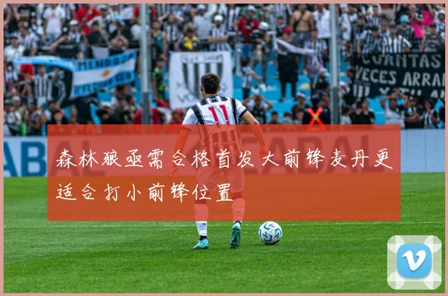 森林狼亟需合格首发大前锋麦丹更适合打小前锋位置