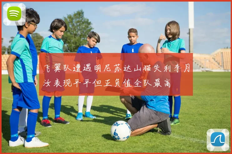 飞翼队遭遇明尼苏达山猫失利李月汝表现平平但正负值全队最高