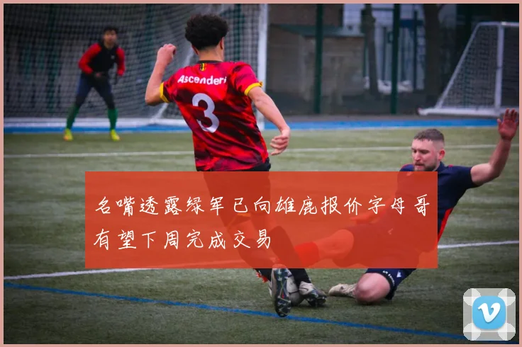 名嘴透露绿军已向雄鹿报价字母哥有望下周完成交易