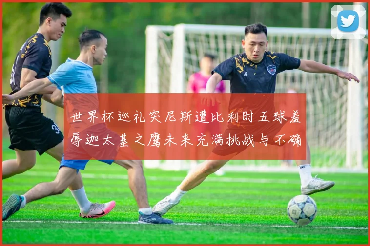 世界杯巡礼突尼斯遭比利时五球羞辱迦太基之鹰未来充满挑战与不确定性